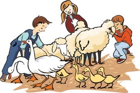 Freiwilliges Ökologisches Jahr