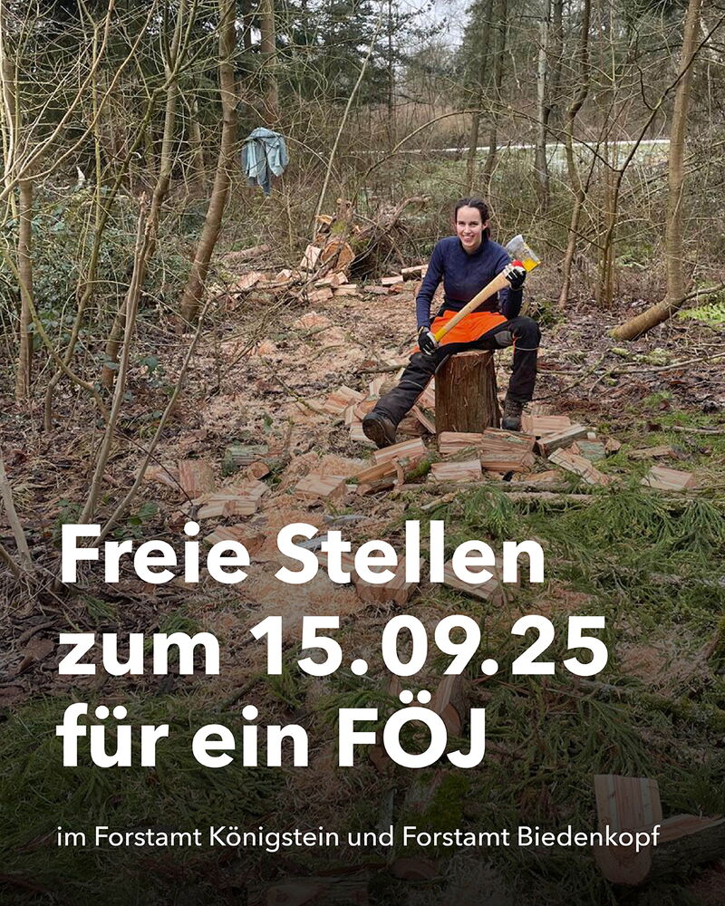 Personalgewinnung durch Freiwilligendienste